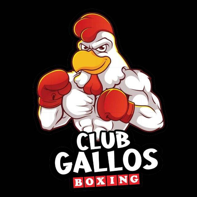 'El Gallo' Club Gallos Boxing